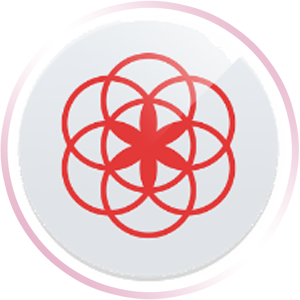 Calendario Menstrual Clue: Ovulación y Embarazo